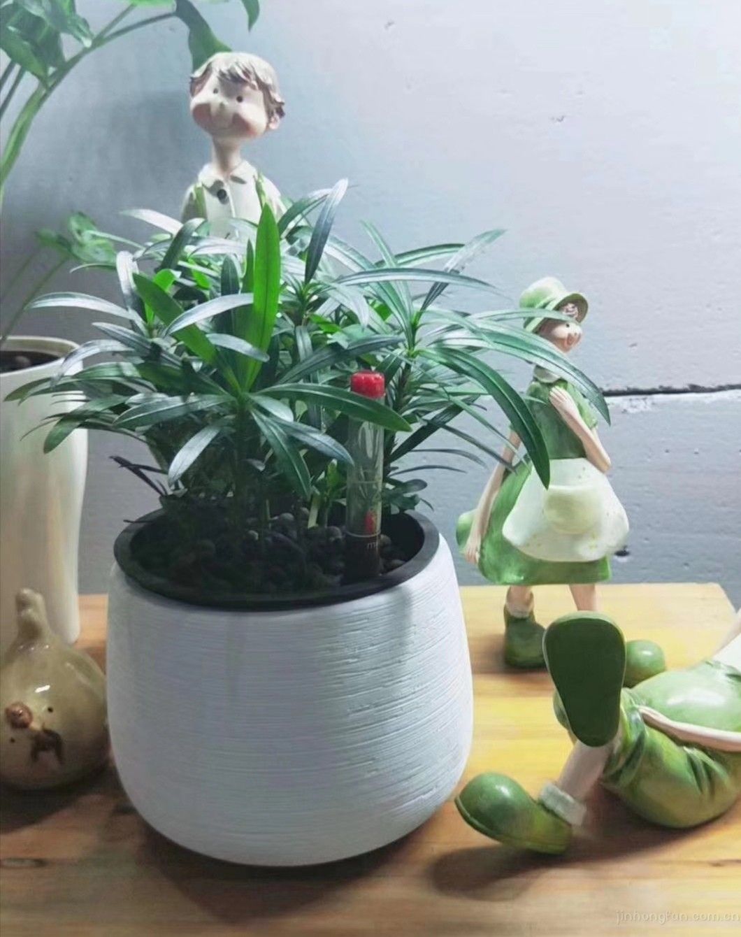 一帆风顺